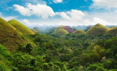 Bohol Countryside Day Tour with Loboc River Cruise (Private Tour)
